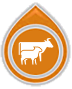 farm animals